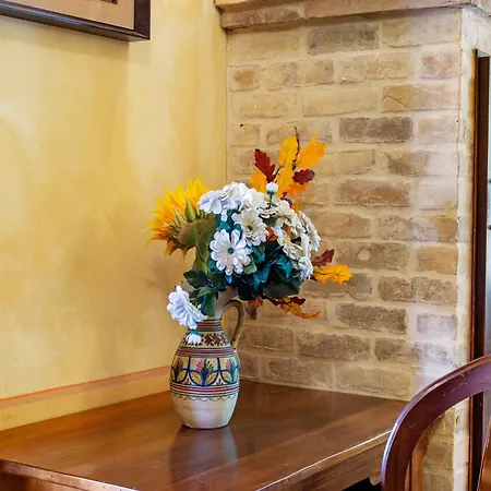 Elegant Only 1 Hour From Rome *